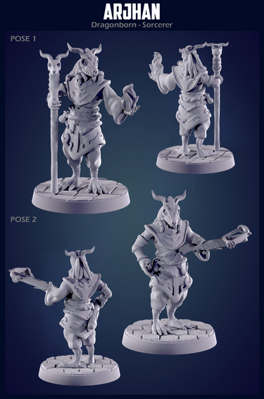 Arjhan the Dragonborn Paladin